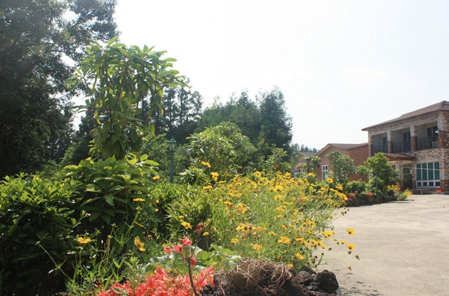Jeju Ts Youth Hostel & Resort ซอกวีโพ ภายนอก รูปภาพ