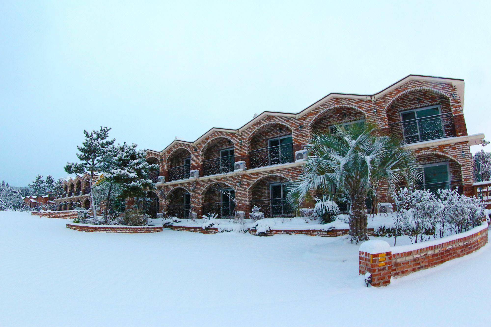 Jeju Ts Youth Hostel & Resort ซอกวีโพ ภายนอก รูปภาพ